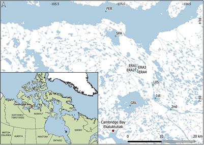 Freshwater Microbial Eukaryotic Core Communities, Open-Water and Under-Ice Specialists in Southern Victoria Island Lakes (Ekaluktutiak, NU, Canada)